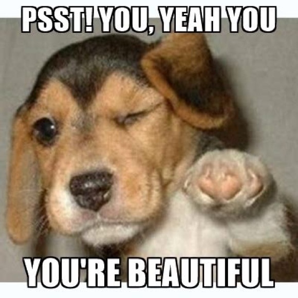 Meet your Posher, Michelle - Picture 1 of 1